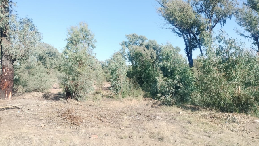  Bedroom Property for Sale in Dewetsdorp Free State